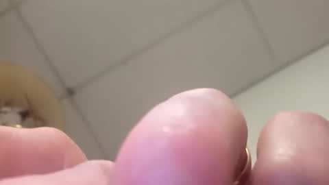 Snapshot of alldickandass11 chatting on February 14, 2026, 4:59 pm alldickandass11 online show from February 14, 2026, 4:59 pm