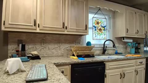 wishlist on bio online show from September 24, 2025, 6:00 pm