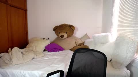 Snapshot of allierose_ chatting on December 28, 2024, 9:40 pm Allie online show from December 28, 2024, 9:40 pm