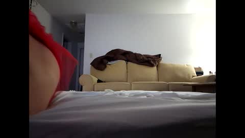 alllursss online show from December 20, 2024, 12:05 pm