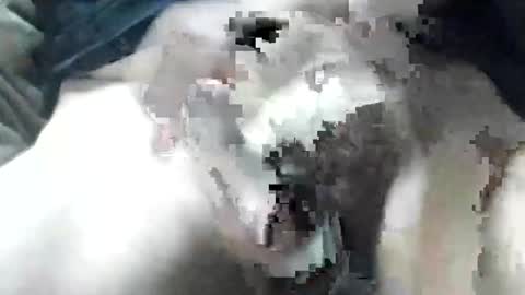 allways395 online show from September 28, 2025, 3:34 am