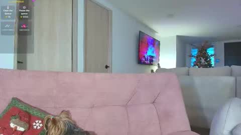 Snapshot of allysonswwan17 chatting on November 7, 2025, 9:15 pm Ally online show from November 7, 2025, 9:15 pm