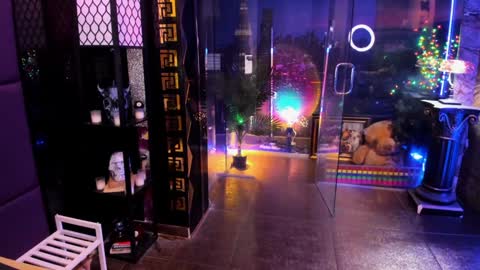 Alma online show from February 28, 2026, 8:37 am