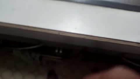 alostmale online show from December 8, 2024, 10:52 am