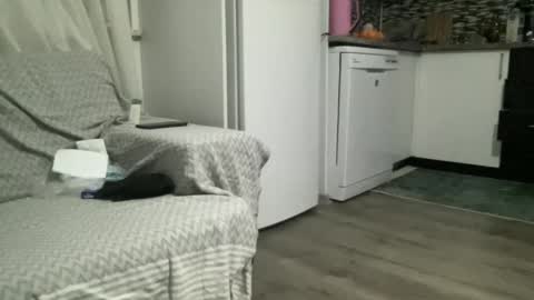 Snapshot of alphandre chatting on February 22, 2025, 6:30 pm AlphAndre online show from February 22, 2025, 6:30 pm