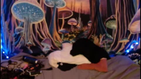 alyssaarcane online show from May 28, 2026, 9:34 pm