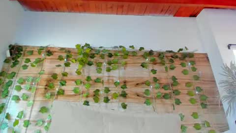 alyssia online show from February 12, 2025, 3:38 pm