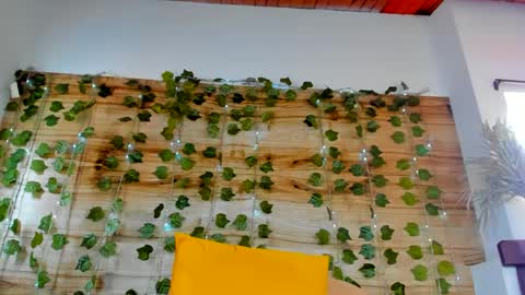 alyssia online show from February 18, 2025, 4:26 pm