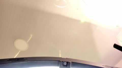 Amara Lewis online show from October 4, 2025, 12:14 pm