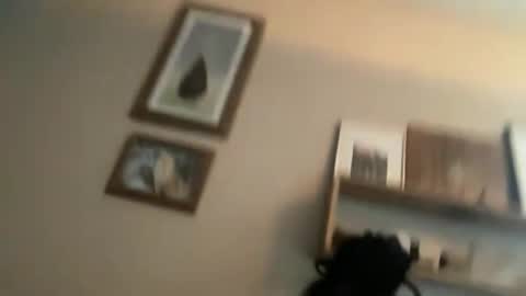 ambermoss7 online show from June 10, 2026, 3:44 pm