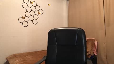 Amelia online show from November 10, 2025, 12:04 pm