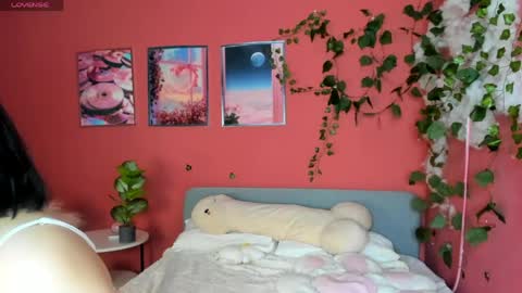 amelia__goth online show from May 22, 2026, 11:16 am
