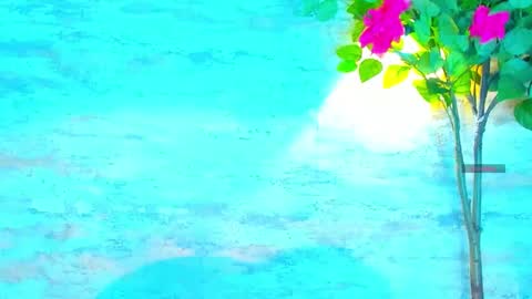  AMELIA.  online show from October 1, 2025, 9:21 pm