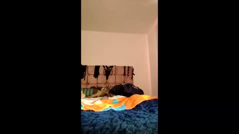 amelie__martinez online show from June 3, 2026, 2:33 pm