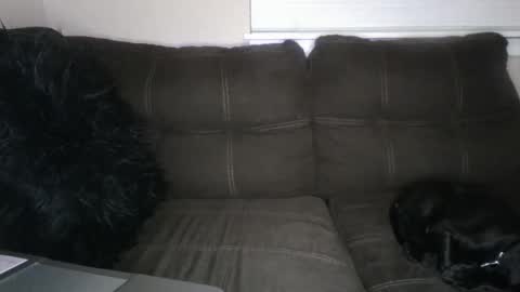 Snapshot of amiri_sweater chatting on March 2, 2025, 11:39 am amiri_sweater online show from March 2, 2025, 11:39 am