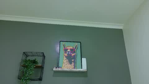 A M M Y  online show from March 25, 2026, 10:54 am