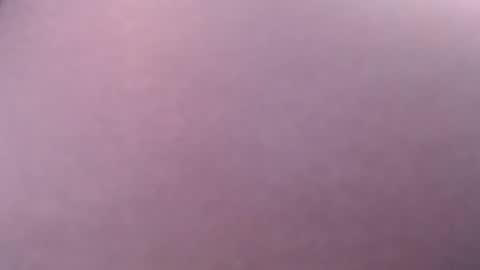 miss unforgettable online show from February 1, 2025, 6:10 am