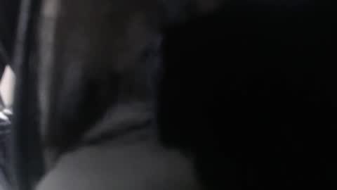 miss unforgettable online show from March 24, 2026, 11:15 am