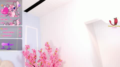 Amykord online show from January 19, 2025, 2:47 am