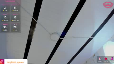 Amykord online show from November 14, 2025, 11:31 am