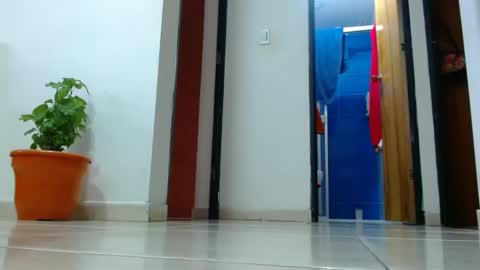 anaids online show from December 19, 2024, 2:57 pm