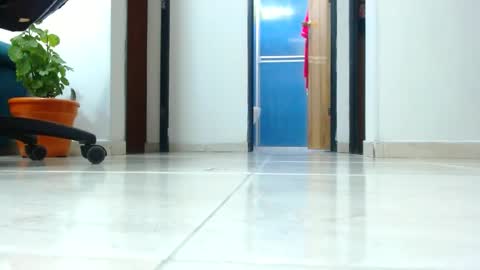 anaids online show from January 1, 2025, 4:18 am