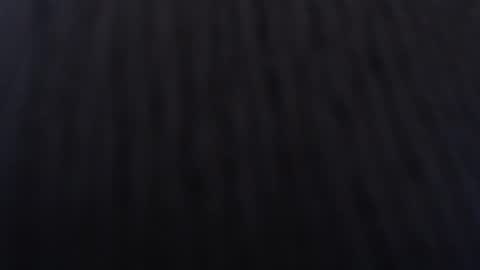   online show from January 2, 2025, 12:03 pm