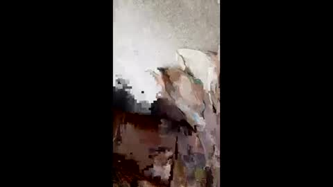 andresvm4796 online show from April 25, 2026, 8:06 am