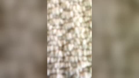 andrew1855 online show from June 14, 2026, 11:34 am