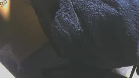 Snapshot of andy503503650759 chatting on December 18, 2025, 8:20 am andy503503650759 online show from December 18, 2025, 8:20 am