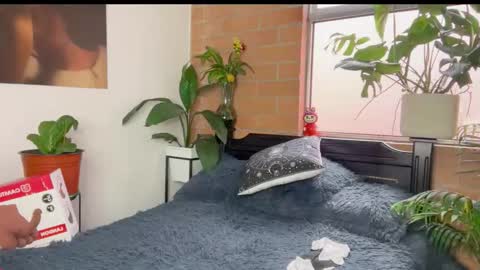 Andy online show from March 11, 2026, 12:22 pm