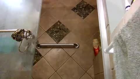 andywan94 online show from February 7, 2025, 5:10 am