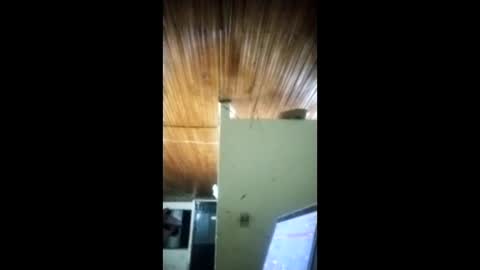 Angel dust9 online show from February 3, 2026, 5:16 am