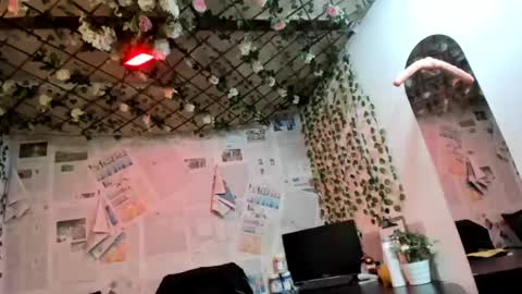 angel_stid online show from July 11, 2026, 7:16 pm