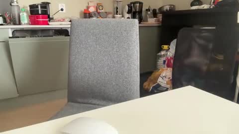 AngelHarly online show from March 8, 2025, 10:11 am