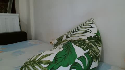 Angela online show from February 19, 2025, 12:57 am