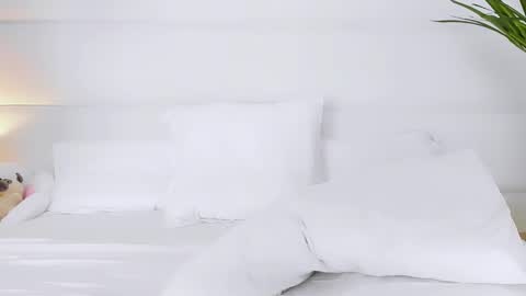 Angelic online show from November 1, 2025, 2:35 am