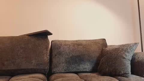 angelinepossy online show from February 16, 2026, 10:50 pm