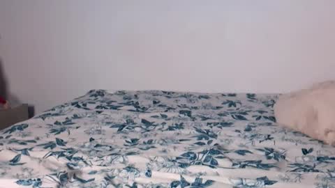 Angelinhaa  online show from January 17, 2026, 4:06 am