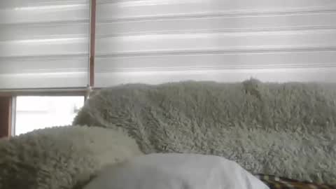 angelps1960 online show from February 24, 2026, 10:02 am