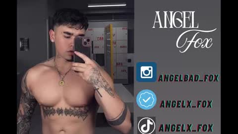 Angel Fox online show from November 13, 2025, 8:41 pm