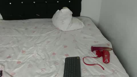 ani_steveson online show from February 26, 2026, 5:39 am