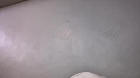 Snapshot of animeboygirls chatting on October 19, 2025, 6:36 am Animeboygirls online show from October 19, 2025, 6:36 am