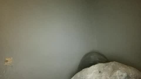 Animeboygirls online show from June 18, 2026, 3:40 am