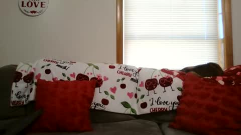 anne online show from January 12, 2026, 5:40 pm