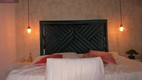 Snapshot of anne_mallow chatting on December 16, 2024, 9:46 am Ann online show from December 16, 2024, 9:46 am