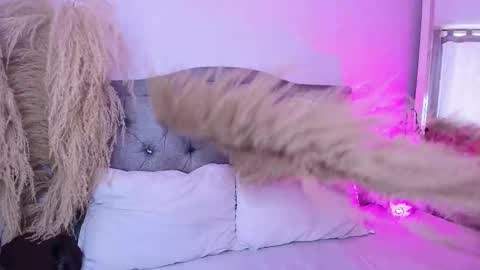 annie_20_ online show from March 27, 2026, 5:23 pm