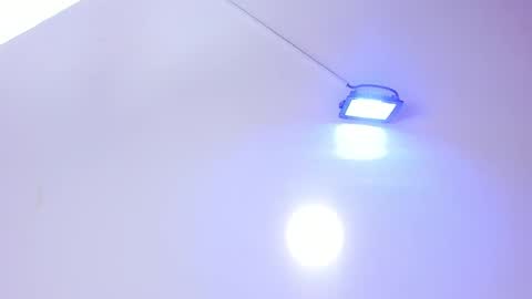 Annie online show from January 19, 2025, 12:06 pm