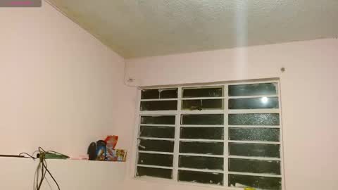 Snapshot of anniesparkle chatting on November 13, 2025, 12:20 am Annie Sparkle online show from November 13, 2025, 12:20 am