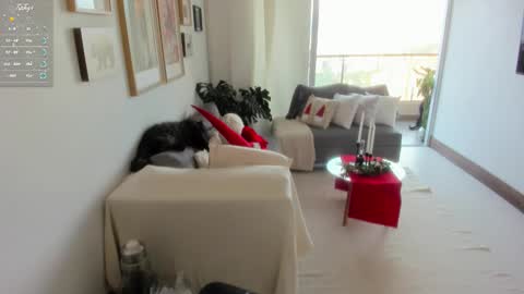 Snapshot of annybeiker chatting on November 9, 2025, 9:46 pm Anny online show from November 9, 2025, 9:46 pm